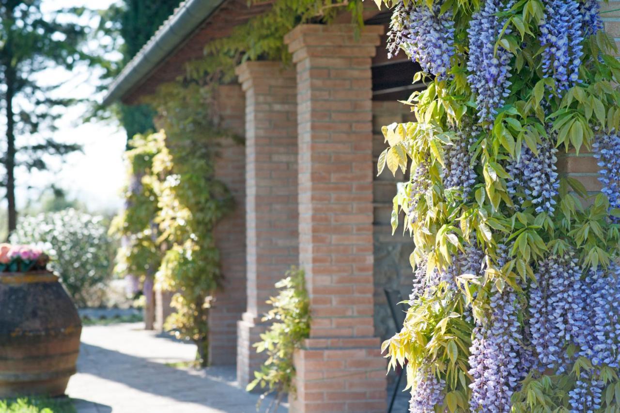 Agriturismo Canale Peccioli Eksteriør bilde